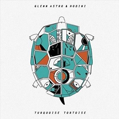 Turquoise Tortoise (Vinyl / 12" Album)