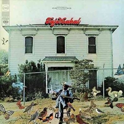 Taj Mahal (Vinyl / 12" Album)