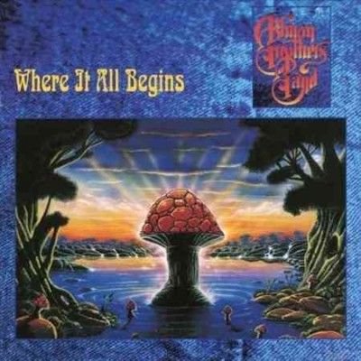 Where It All Begins (Vinyl / 12" Album (Gatefold Cover))