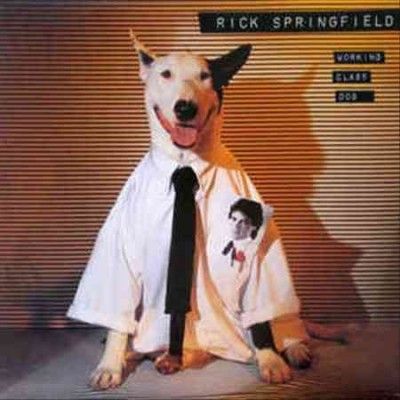 Working Class Dog (Vinyl / 12" Album)