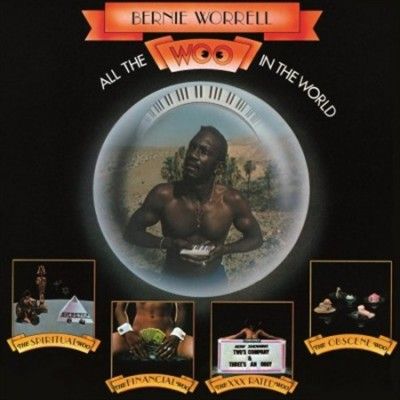 All the Woo in the World (Vinyl / 12" Album)