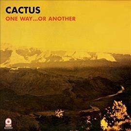 One Way Or Another (Vinyl / 12" Album)