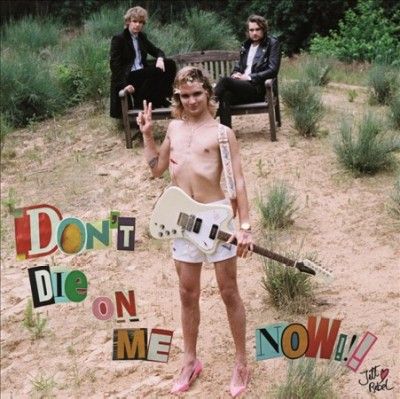 Don't Die On Me Now (Vinyl / 12" Album)