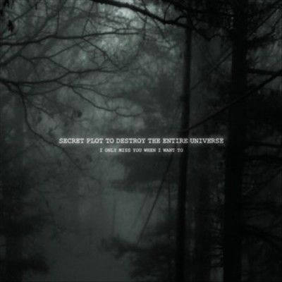 Secret Plot To Destr - I Only Miss You When I Want To (Vinyl)