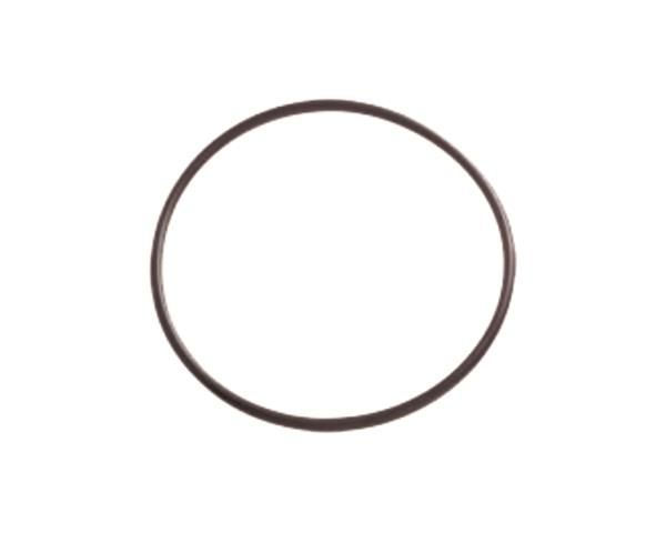 Quality Pool Filter Lid - O-Ring
