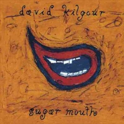 David Kilgour - Sugar Mouth (Vinyl)