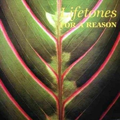 Lifetones - For A Reason (Vinyl)
