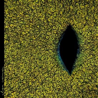 Clan Caiman - Clan Caiman (Vinyl)
