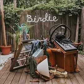 Dog Slaughter Beach - Birdie (Vinyl)