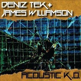 Deniz Tek - Acoustic Ko (Vinyl)
