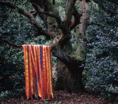 The Animal Spirits (CD / Album)
