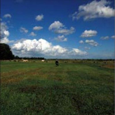 The Hilvarenbeek (CD / Album)