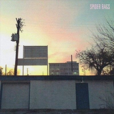 Spider Bags - Someday Everything Will Be Fine (Vinyl)