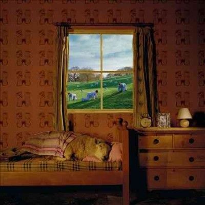 Umphrey's Mcgee - Safety In Numbers (Vinyl)