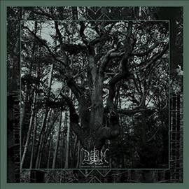 Enisum - Seasons Of Desolation (Vinyl)