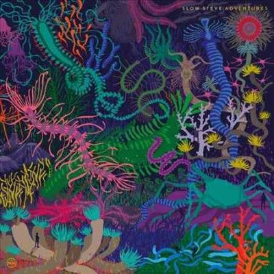 Slow Steve - Adventures (Vinyl)