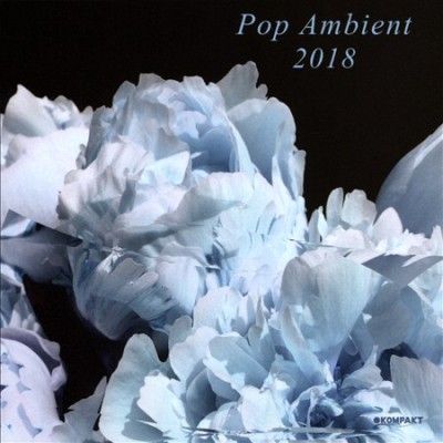 Various - Pop Ambient 2018 (CD)