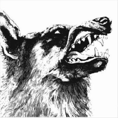 Crippled Black Phoen - I Vigilante (CD)