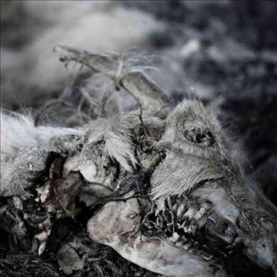 Aphonic Threnody - When Death Comes (Vinyl)