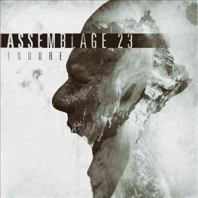 Assemblage 23 - Endure (Vinyl)