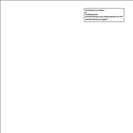Throbbing Gristle - Second Annual Report (white) (Vinyl)