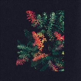 Dark Sky - Othona (Vinyl)