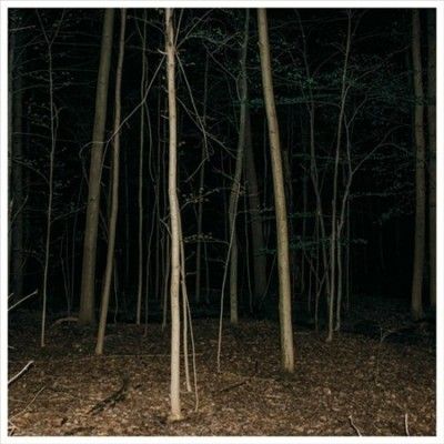 Express Rising - Fixed Rope Ii (Vinyl)