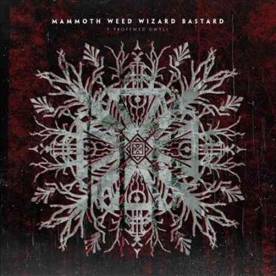 Y Proffwyd Dwyll (Vinyl / 12" Album Coloured Vinyl (Limited Edition))
