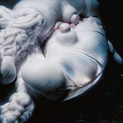 Bjork - Arisen My Senses (Vinyl)