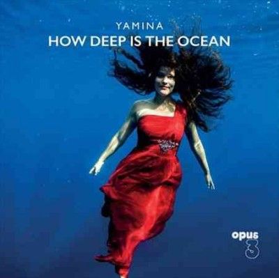 How Deep Is the Ocean (Vinyl / 12" Album)