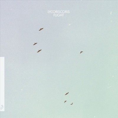Flight (Vinyl / 12" Album)