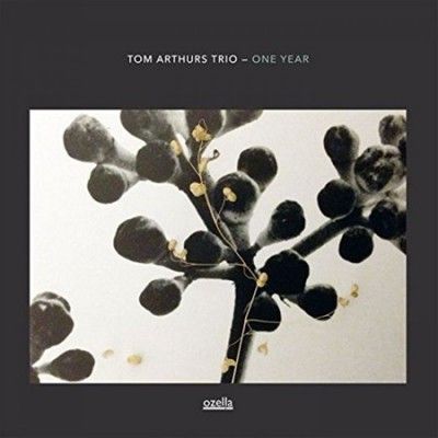 One Year (Vinyl / 12" Album)