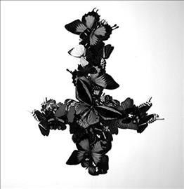 Monarch - Never Forever (Vinyl)