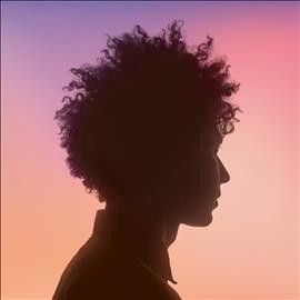 Témé Tan (Vinyl / 12" Album)