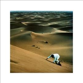 Prince of Tears (Vinyl / 12" Album)