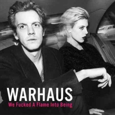 We F*cked a Flame Into Being (Vinyl / 12 Album)