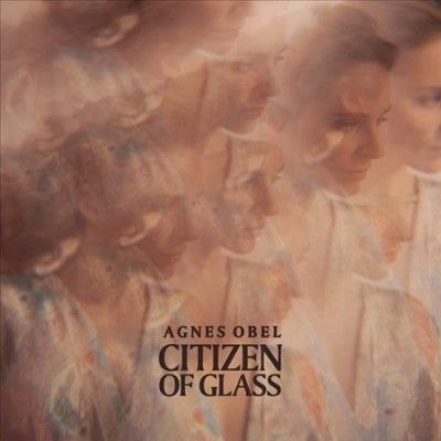 Citizen of Glass (Vinyl / 12" Album)
