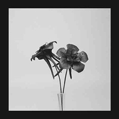 Jlin - Dark Lotus (Vinyl)