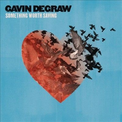 Gavin Degraw - Something Worth Saving (Vinyl)