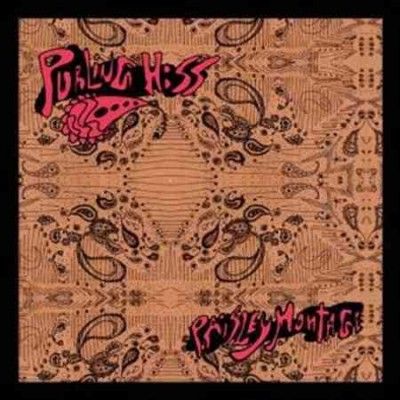 Purling Hiss - Paisley Montage (Vinyl)