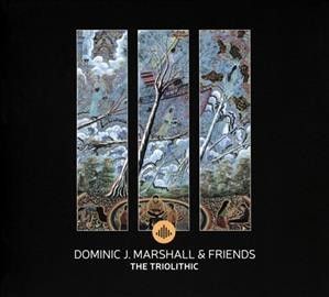Dominic J. Marshall - Triolithic (CD)