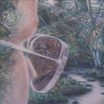 10,001 Dreams (CD / Album)