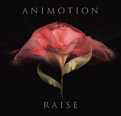Raise Your Expectations (CD / Album)