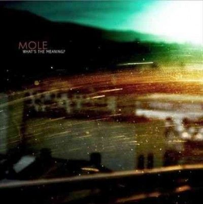 Mole - What's The Meaning (CD)