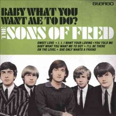 Sons Of Fred - Baby What You Want Me To Do (CD)