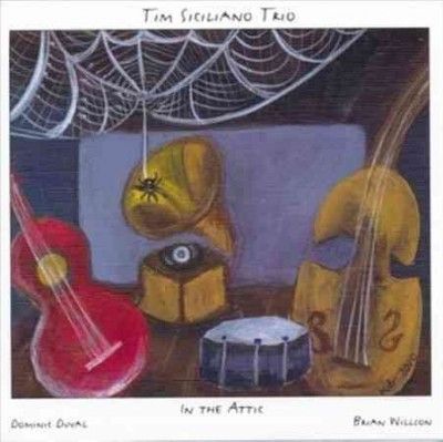 Tim Siciliano - In The Attic (CD)