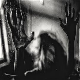 Behind The Shadow Dr - Harmonic (CD)