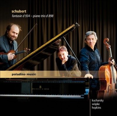 Schubert: Fantasie, D934/Piano Trio, D898 (CD / Album)