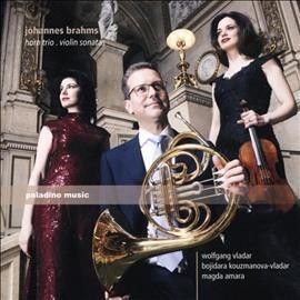 Johannes Brahms: Horn Trio/Violin Sonatas (CD / Album)
