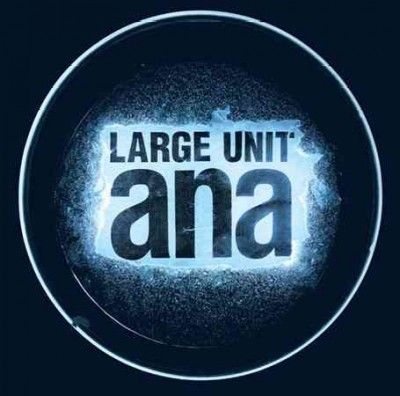 Large Unit - Ana (CD)